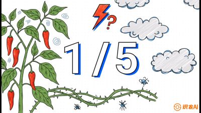 第6节：【花果爆发术】落花落果的五大元凶，与&ldquo;三喷一保&rdquo;坐果黑科技，课程：《辣椒种植实战特训营，从工业辣椒到精品小米辣，教你如何把&ldquo;草&rdquo;种成&ldquo;金&rdquo;》