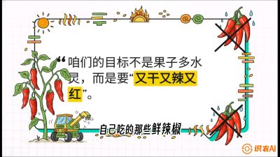 第7节：【工业辣椒专场】追求极致辣度！干物质提升与机械化采收的&ldquo;催红秘籍&rdquo;，课程：《辣椒种植实战特训营，从工业辣椒到精品小米辣，教你如何把&ldquo;草&rdquo;种成&ldquo;金&rdquo;》
