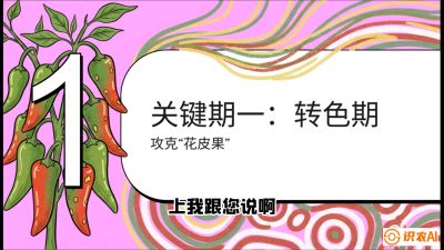 第8节：【小米辣线椒专场】颜值即正义！防花皮、防炭疽，打造收购商抢着要的&ldquo;精品果&rdquo;，课程：《辣椒种植实战特训营，从工业辣椒到精品小米辣，教你如何把&ldquo;草&rdquo;种成&ldquo;金&rdquo;》