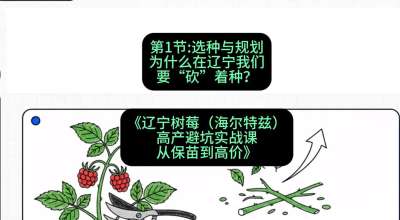第一节： 选种与规划&mdash;&mdash;为什么在辽宁我们要&ldquo;砍&rdquo;着种？，课程：《辽宁树莓（海尔特兹）高产避坑实战课：从保苗到高价》