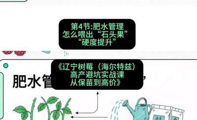 第四节： 肥水管理&mdash;&mdash;怎么喂出&ldquo;石头果&rdquo;（硬度提升），课程：《辽宁树莓（海尔特兹）高产避坑实战课：从保苗到高价》