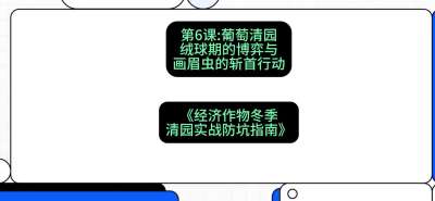 第6节：【葡萄清园】绒球期的博弈与画眉虫的&ldquo;斩首行动&rdquo;，课程：《经济作物冬季清园&middot;实战防坑指南》#识农AI