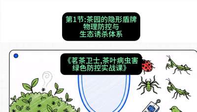 第01节：茶园的&ldquo;隐形盾牌&rdquo;&mdash;&mdash;物理防控与生态诱杀体系，课程：《茗茶卫士&mdash;&mdash;茶叶病虫害绿色防控实战课》#识农AI