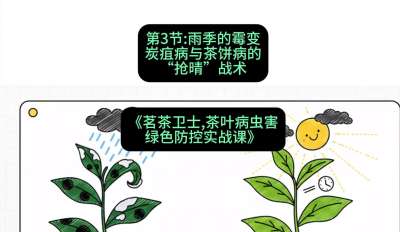 第03节：雨季的霉变&mdash;&mdash;炭疽病与茶饼病的&ldquo;抢晴&rdquo;战术，课程：《茗茶卫士&mdash;&mdash;茶叶病虫害绿色防控实战课》#识农AI