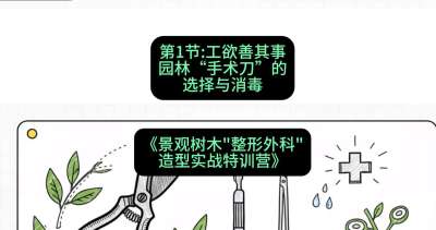 第01节：工欲善其事&mdash;&mdash;园林&ldquo;手术刀&rdquo;的选择与消毒，课程：《景观树木&ldquo;整形外科&rdquo;造型实战特训营》#识农AI