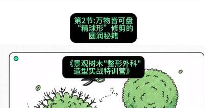 第02节：万物皆可盘&mdash;&mdash;&ldquo;精球形&rdquo;修剪的圆润秘籍，课程：《景观树木&ldquo;整形外科&rdquo;造型实战特训营》#识农AI