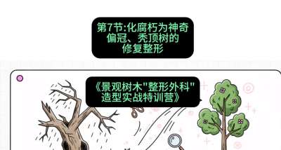 第07节：化腐朽为神奇&mdash;&mdash;偏冠、秃顶树的修复整形，课程：《景观树木&ldquo;整形外科&rdquo;造型实战特训营》#识农AI