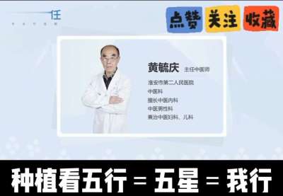 中药材淫羊藿怎么种？听专家一次讲明白！不挑地块好管理，耐寒耐旱省心省力，新手也能轻松上手，药用价值高、市场需求稳，妥妥的增收好品种～ 从生长习性到采收要点，干货满满无废话，种植疑问直接问，一对一答疑解