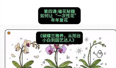 第四节：催花秘籍：如何让&ldquo;一次性花&rdquo;年年复花，课程：《蝴蝶兰雅养六讲：从阳台小白到园艺达人》#识农AI