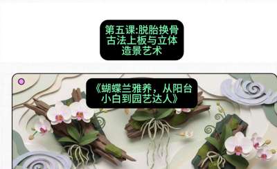 第五节：脱胎换骨：古法上板与立体造景艺术，课程：《蝴蝶兰雅养六讲：从阳台小白到园艺达人》#识农AI