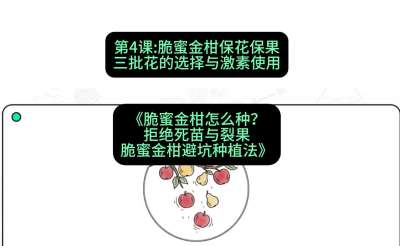 第4节：脆蜜金柑保花保果：三批花的选择与激素使用，课程：《脆蜜金柑怎么种？拒绝死苗与裂果，脆蜜金柑8步避坑种植法》#识农AI