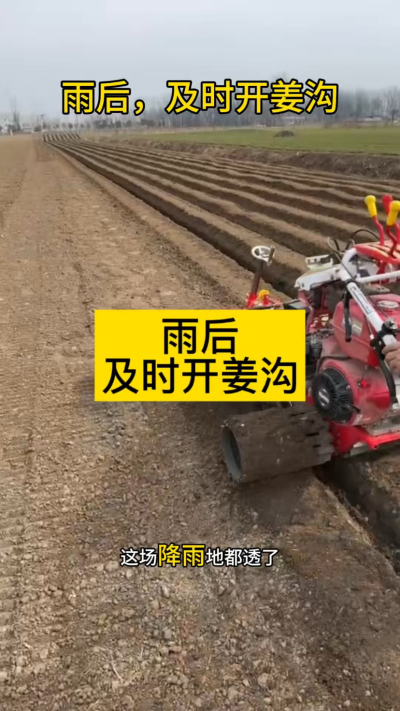 雨后，及时开姜沟！