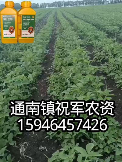 大豆苗前封闭，可封红根苋菜，灰菜，兰花菜，野豆子，捞豆秧等恶性杂草，封杀兼备的高端产品。