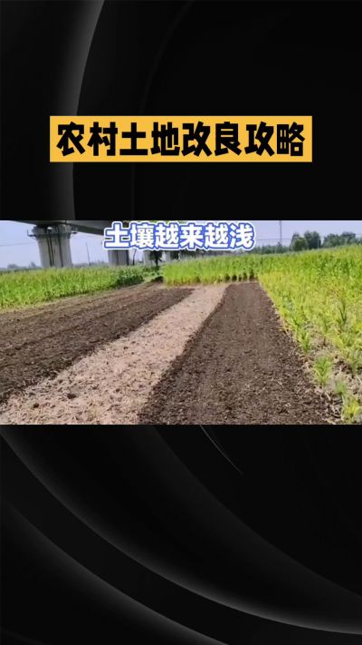 1. 先搞懂：你到底要改良哪块地、种什么
 
- 土土土在哪里？
就是你自家农田、菜地、果园，哪块地想种庄稼，就测哪块地的土。
​
- 有水没有水？
有水能浇：改良更省事，施肥、调酸碱都好操作。
没水