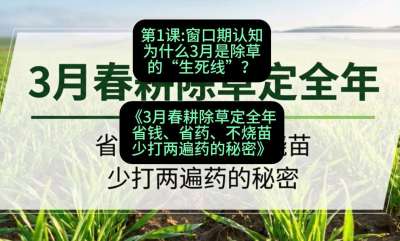 第1节：窗口期认知，为什么3月是除草的&ldquo;生死线&rdquo;？，课程：《3月春耕除草定全年：省钱、省药、不烧苗、少打两遍药的秘密》