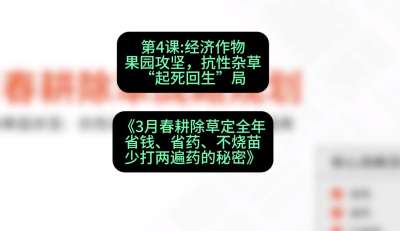 第4节：经济作物果园攻坚，抗性杂草&ldquo;起死回生&rdquo;局，课程：《3月春耕除草定全年：省钱、省药、不烧苗、少打两遍药的秘密》