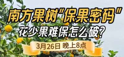 《细说农技》守住全年丰收！李军开讲南方果树保果技术，｜3 月 26 日晚 8 点