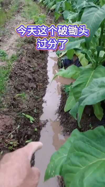 差点和我的脚丫说拜拜