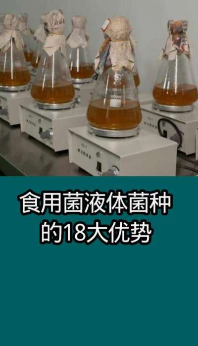 食用菌      食用菌液体菌种的18大优势