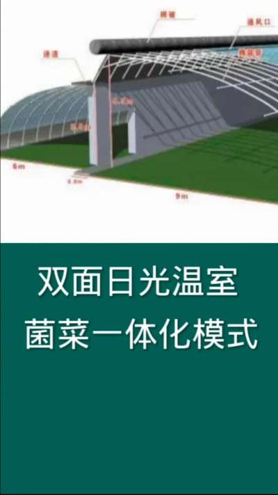 双面日光温室菌菜一体化模式，为现代农业利用设施的一种高效种植模式。食用菌排出二氧化碳为蔬菜生长所需提供气体，蔬菜排出氧气正好为食用菌提供生长所需的氧气，彼此促进生长，是现代农业发展的一种有效途径。