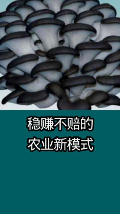 稳赚不赔的农业新模式