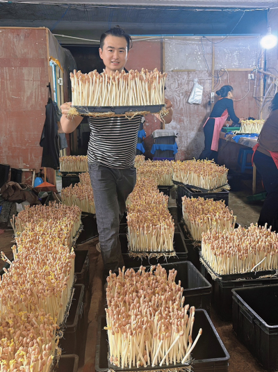 每天10分钟，跟着学种芽苗菜&mdash;&mdash;新手也能轻松上手的家常种植课 