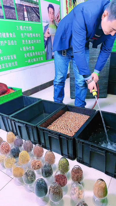 
自己种花生芽，泡种最关键！试过好几次才明白，挑对种子、水温合适、别泡太久，这三点做好了，芽子长得又快又整齐。你们在家种的时候，泡种有没有踩过坑呀？
#花生芽怎么种 #家庭种菜小技巧 #新手种芽苗菜 