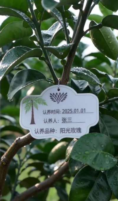 果园生意难？
客户少、预售难、溯源弱、复购低？
用 SaaS 认养平台，一键解决：
✅ 认养挂牌，让客户为 &ldquo;自己的树&rdquo; 买单，提前锁定全年收益
✅ 可视化监控，手机端实时看生长，客户信任度翻倍
✅ 
