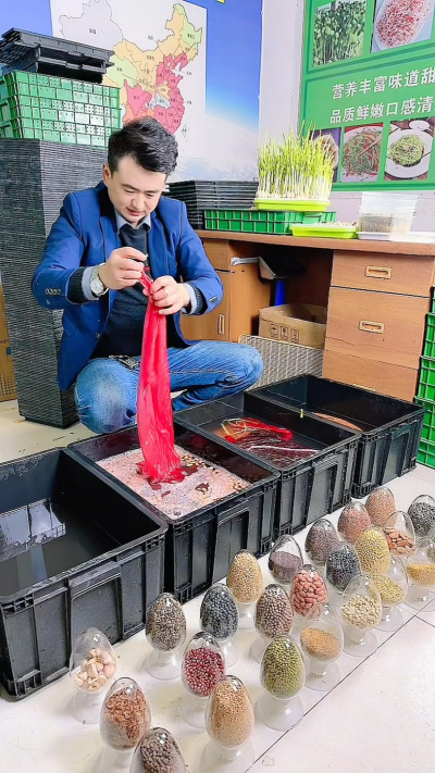 种花生芽不难，0基础也能学会，就按这几步来新花生泡6-8小时，夏天短点冬天长点，泡到皮软就捞出来
沥干水铺盒子里，盖块湿纱布，放暖和地儿捂着，每天喷两回水&rdquo;
露白了就移网格上，根往下泡点水，芽别沾着，