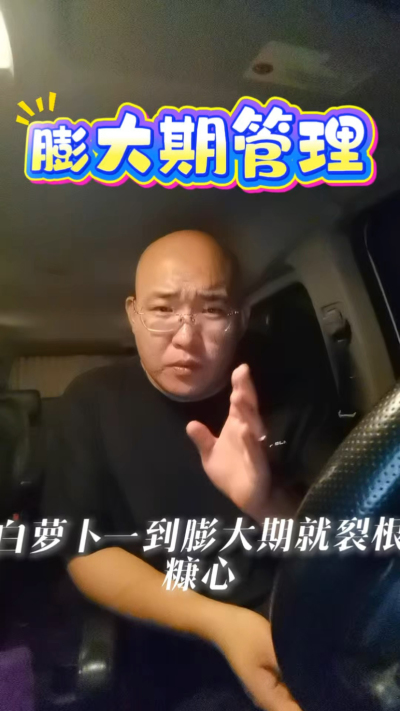 白萝卜膨大期